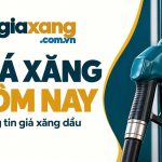 Banner Giá Xăng Hôm Nay